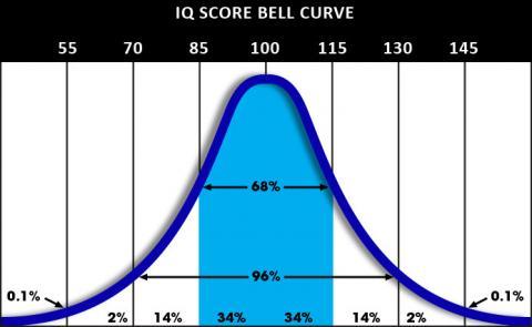 Official IQ Test | IQ Test Prep